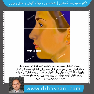 لب پایین، چانه، زیبایی بینی