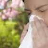 allergy