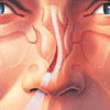 nose