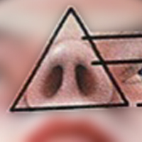 nostrils