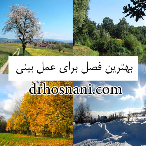 best season for rhinoplasty og