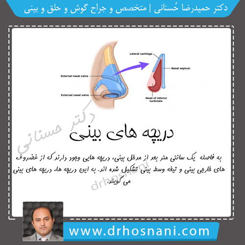 دریچه های بینی
