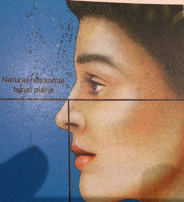 natural horizontal face plane