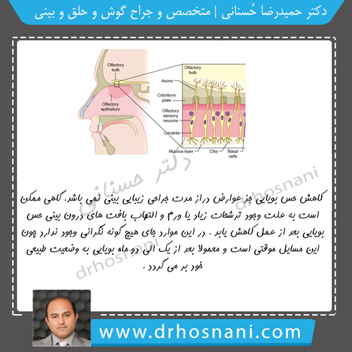 smelling problems after rhinoplasty og